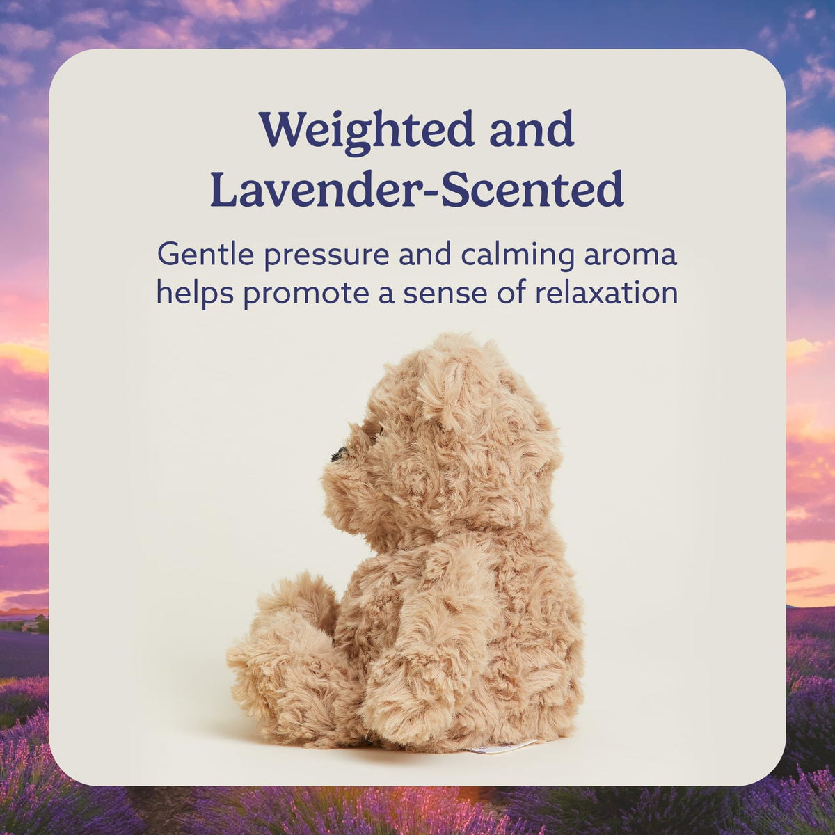 Warmies Junior Brown Curly Bear lavender scent creates calm moments