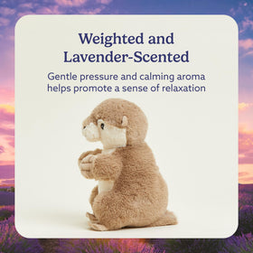 Warmies Junior Otter in microwave heating for quick soothing warmth.