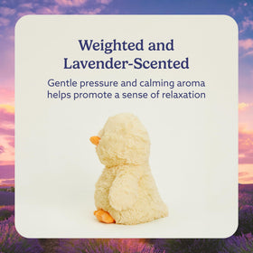 Warmies Chick lavender-scented plush creates calm bedtime moments.