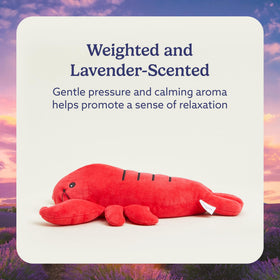 Warmies Lobster weighted-snuggle plush delivers comforting weight for relaxation