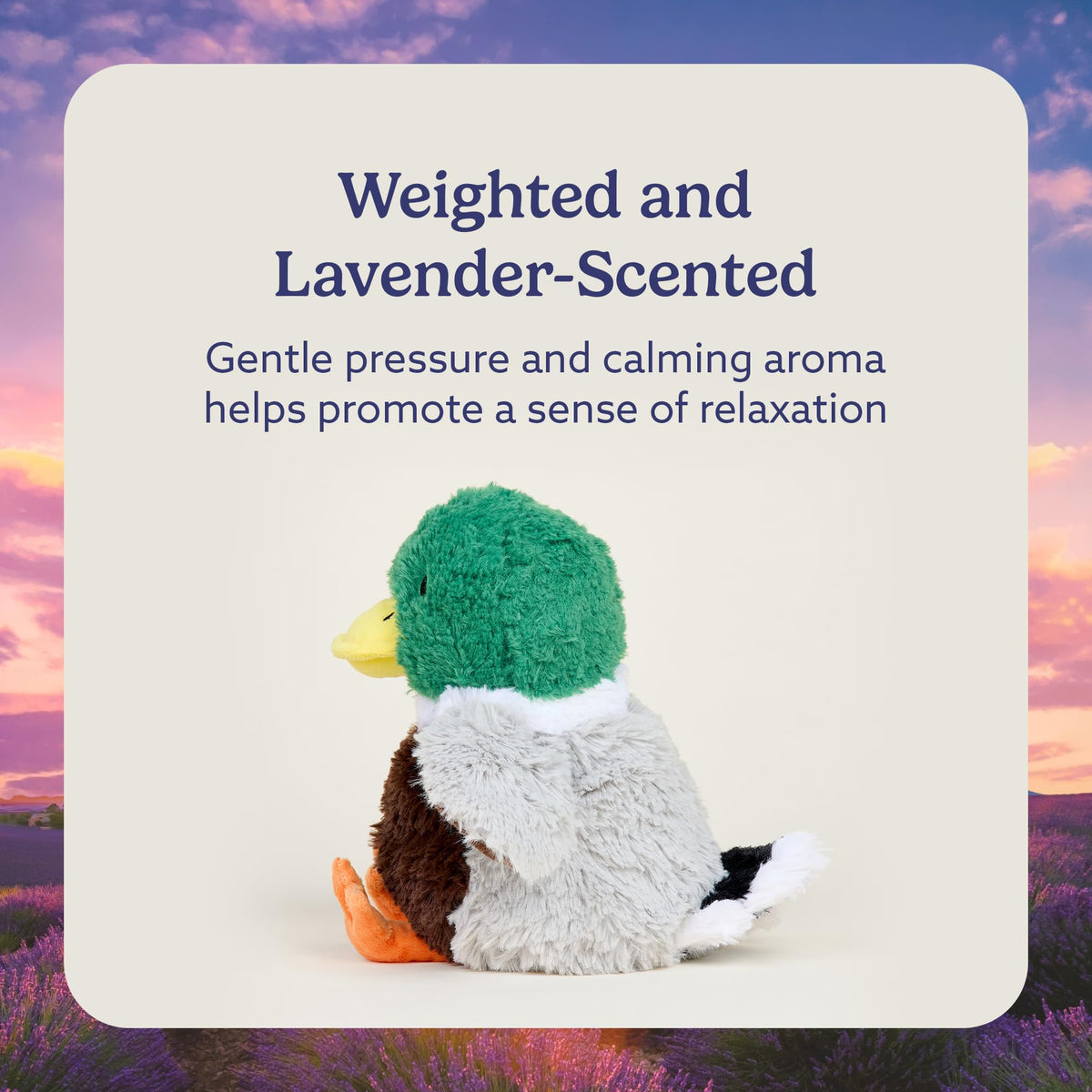 Lavender-scented Warmies Mallard plush creates a relaxing bedtime ambiance.