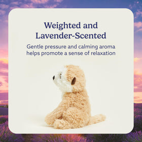 Warmies Meerkat cozy bedtime hug with weighted plush feel.