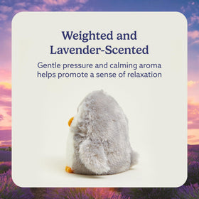 Warmies Owl lavender-scented plush with a gentle aroma for peaceful nights.