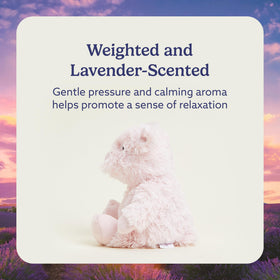 Warmies Pig lavender-scented plush delivers soothing aroma for restful evenings.