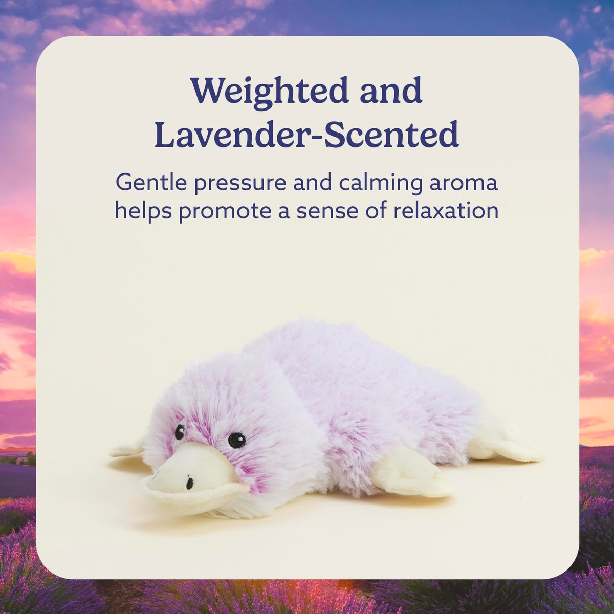 Chilled Warmies platypus plush provides a refreshing cool touch.