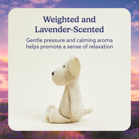 Warmies Puppy heat-and-cuddle plush ideal for bedtime routines