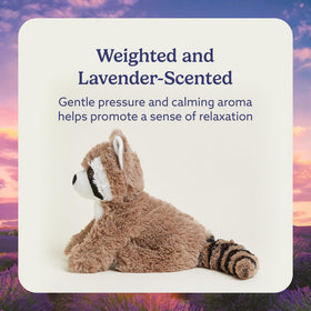 Warmies Raccoon lavender-scented plush creates a calm, aromatic ambiance.