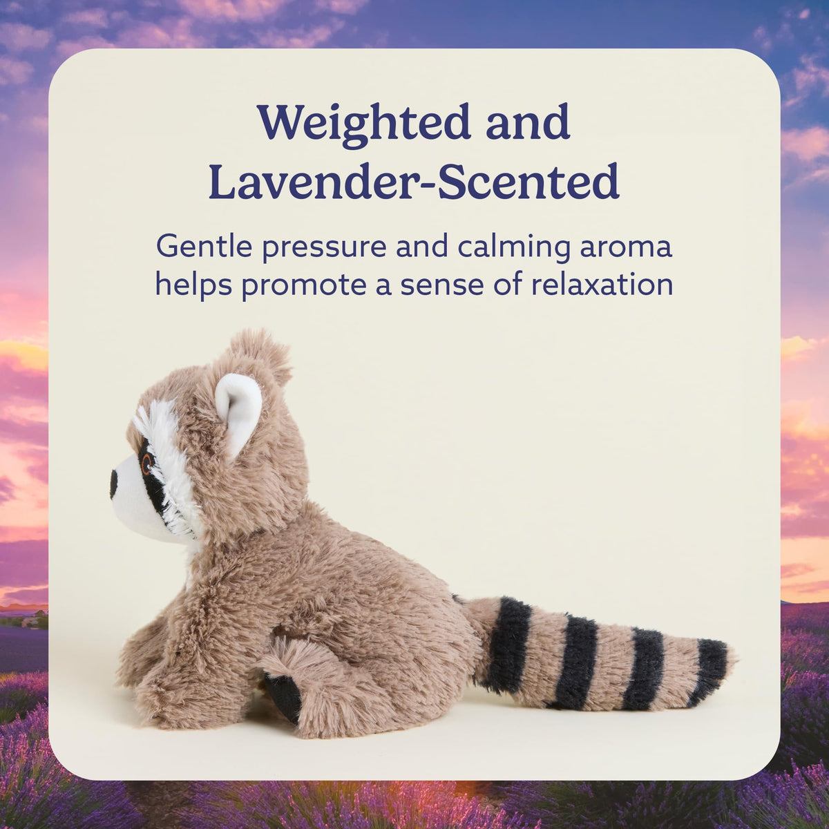Warmies Raccoon lavender scent adds gentle calm for evenings.