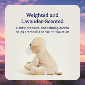 Warmies weighted plush offers calming pressure for cozy stress-relief moments.