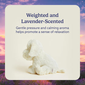Warmies Yellow Lab scented heatable plush ideal for bedtime calm and relaxation.
