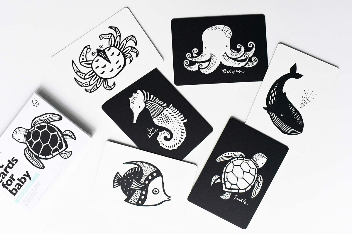 Wee Gallery high-contrast starfish card encourages exploration of edges and textures
