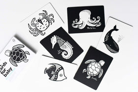 Wee Gallery high-contrast starfish card encourages exploration of edges and textures