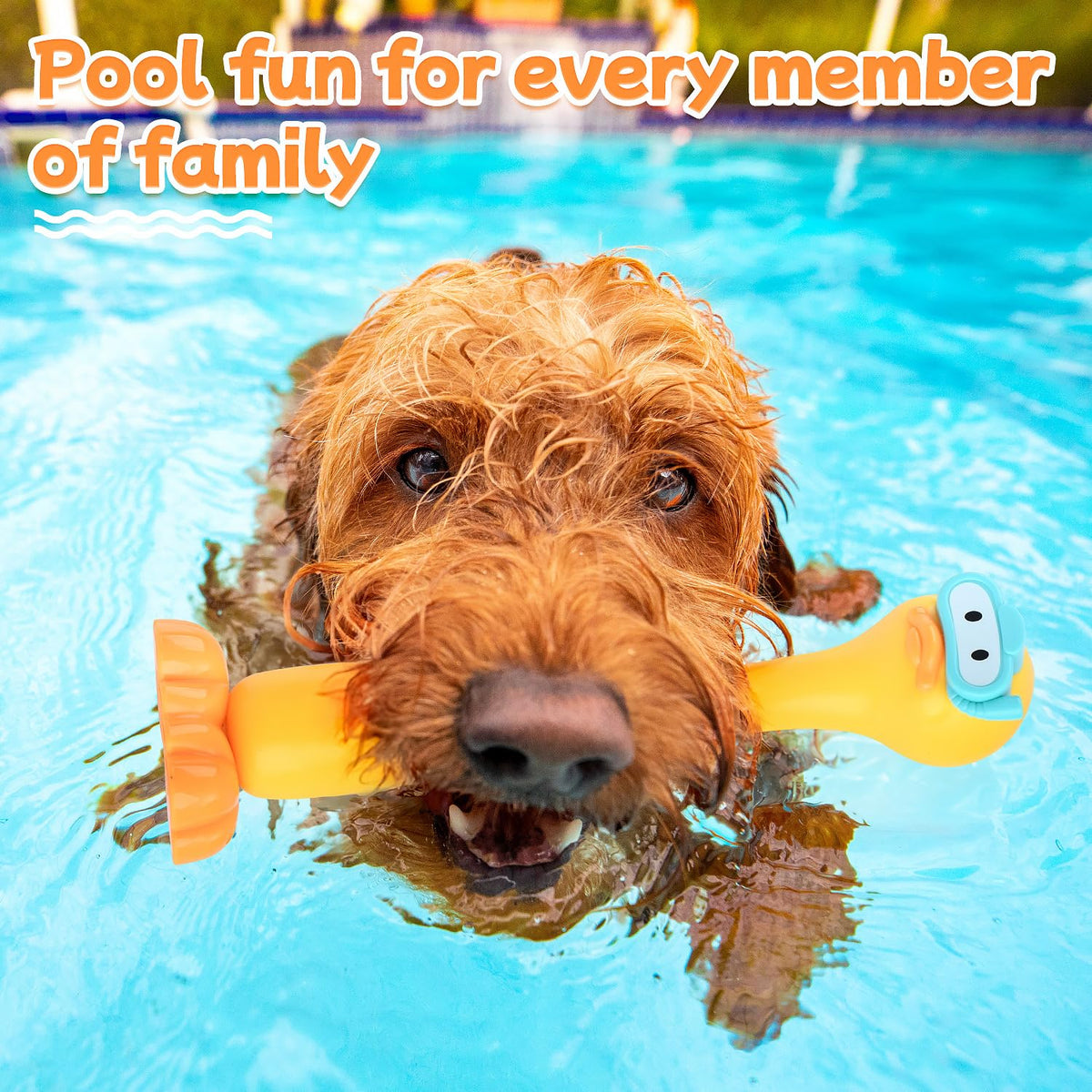 WeeHomm smooth edged pieces ensure safe grip during underwater play.