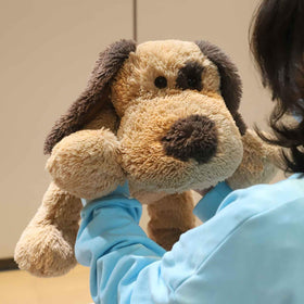 WEIGEDU floppy-dog-puppy bedroom-decor adds warm charm