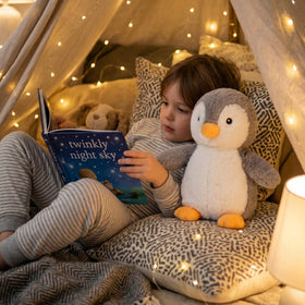 WEIGEDU King Penguin gift idea for birthdays and holidays.
