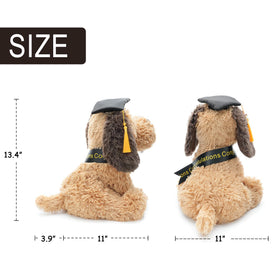 WEIGEDU medical school graduate plush as a proud reminder