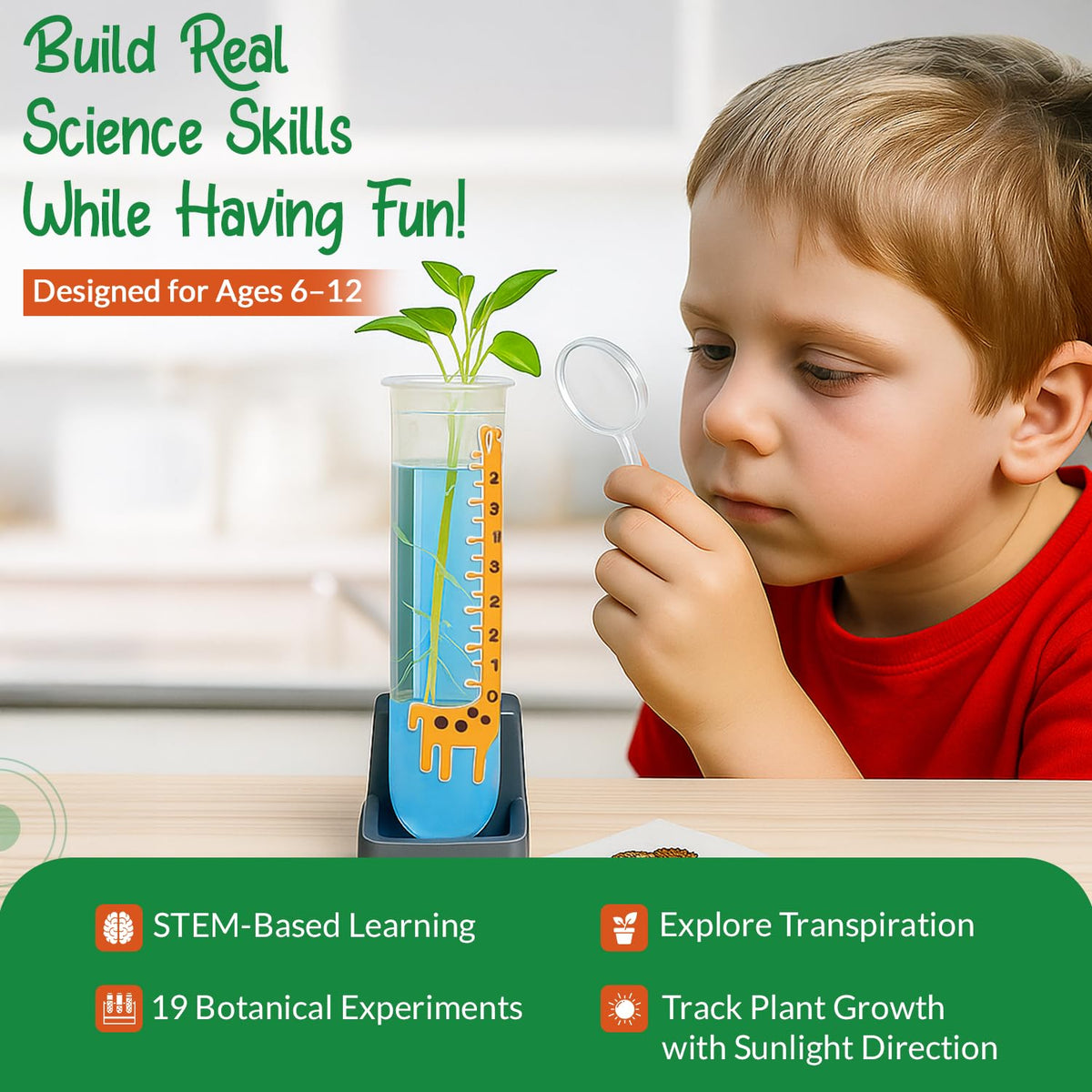Wellegance Twigs grass doll growth activity for hands-on learning.