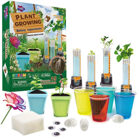 Wellegance Twigs hydroponic root growth demonstration for curious kids.