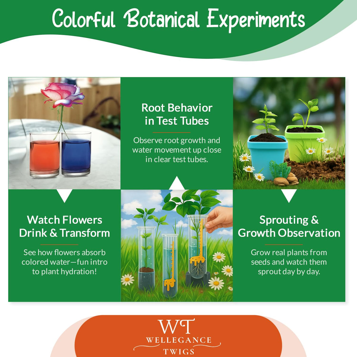 Wellegance Twigs plant propagation from cuttings lesson you can try.