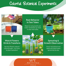 Wellegance Twigs plant propagation from cuttings lesson you can try.