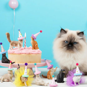 Weysat cat toppers on a cake show versatile decorating options for themed celebrations.