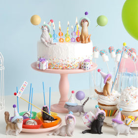 Weysat party supplies bundle simplifies party prep and setup.