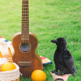 Whrigud Giftable Raven Plush makes a thoughtful birthday or celebration gift