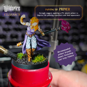 Wildspire Classic Encounters II Pathfinder-compatible figures.