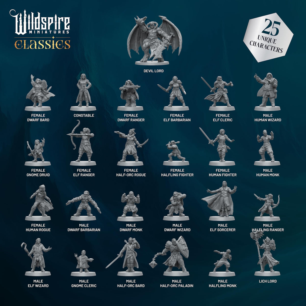 Wildspire mercenary band figures 25-piece set for RPG adventures and battles