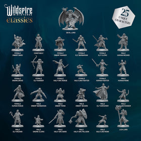 Wildspire mercenary band figures 25-piece set for RPG adventures and battles