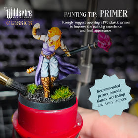 Wildspire Classic Heroes bosses included to enhance boss encounters in campaigns
