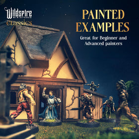 Wildspire Encounters D&D miniatures pack ideal for refreshing campaigns