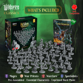Wildspire Mercenary Guild II 28mm DND and Pathfinder compatible miniatures for flexible scenarios.