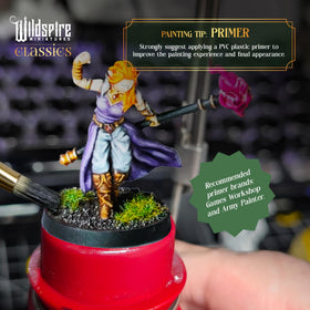 Wildspire Mercenary Guild II primer recommended to create smooth base for bold color coverage.