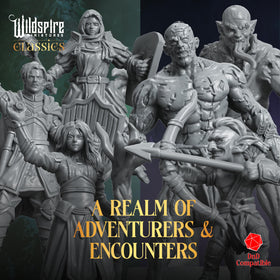 Wildspire Realm Set Mercenary Guild miniatures for dynamic combat scenarios.