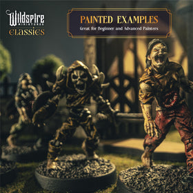 Wildspire tabletop miniatures collection for rich fantasy skirmishes.