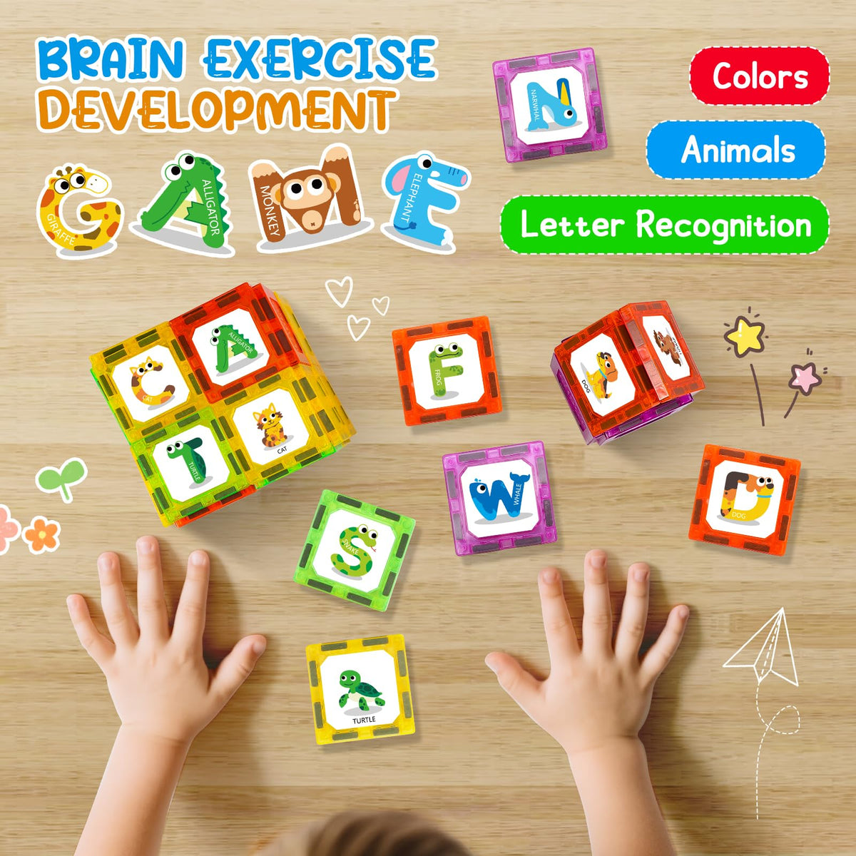Windidi fridge-play magnets enabling on-fridge learning and sharing.