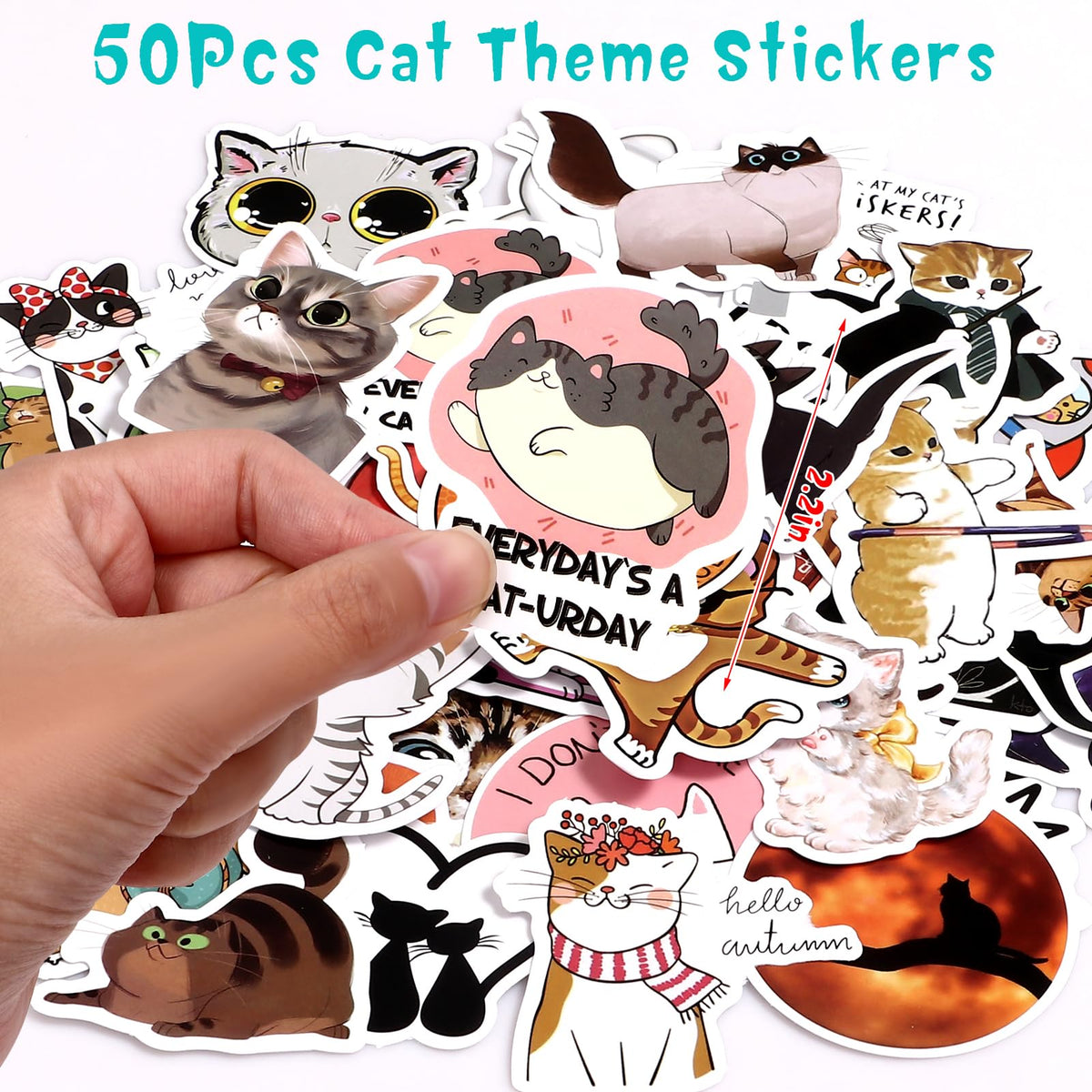 Winrayk cat party favors package overview shows a complete kit