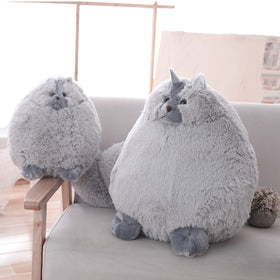Winsterch gray plush cat close-up of eyes and nose