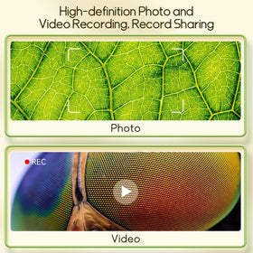 Built-in storage stores up to 400 photos for easy review and projects.