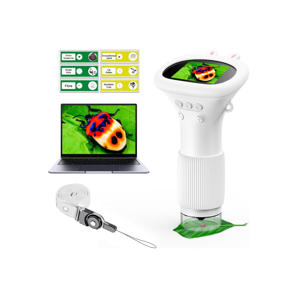 WINWEND kids microscope compact design ideal for on-the-go science exploration.