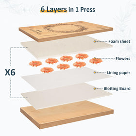 Wisedry drying paper reusable in microwave or oven for eco-friendly crafting