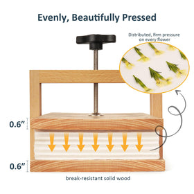 Wisedry Flower Press showing central pressure system for even flattening of blooms