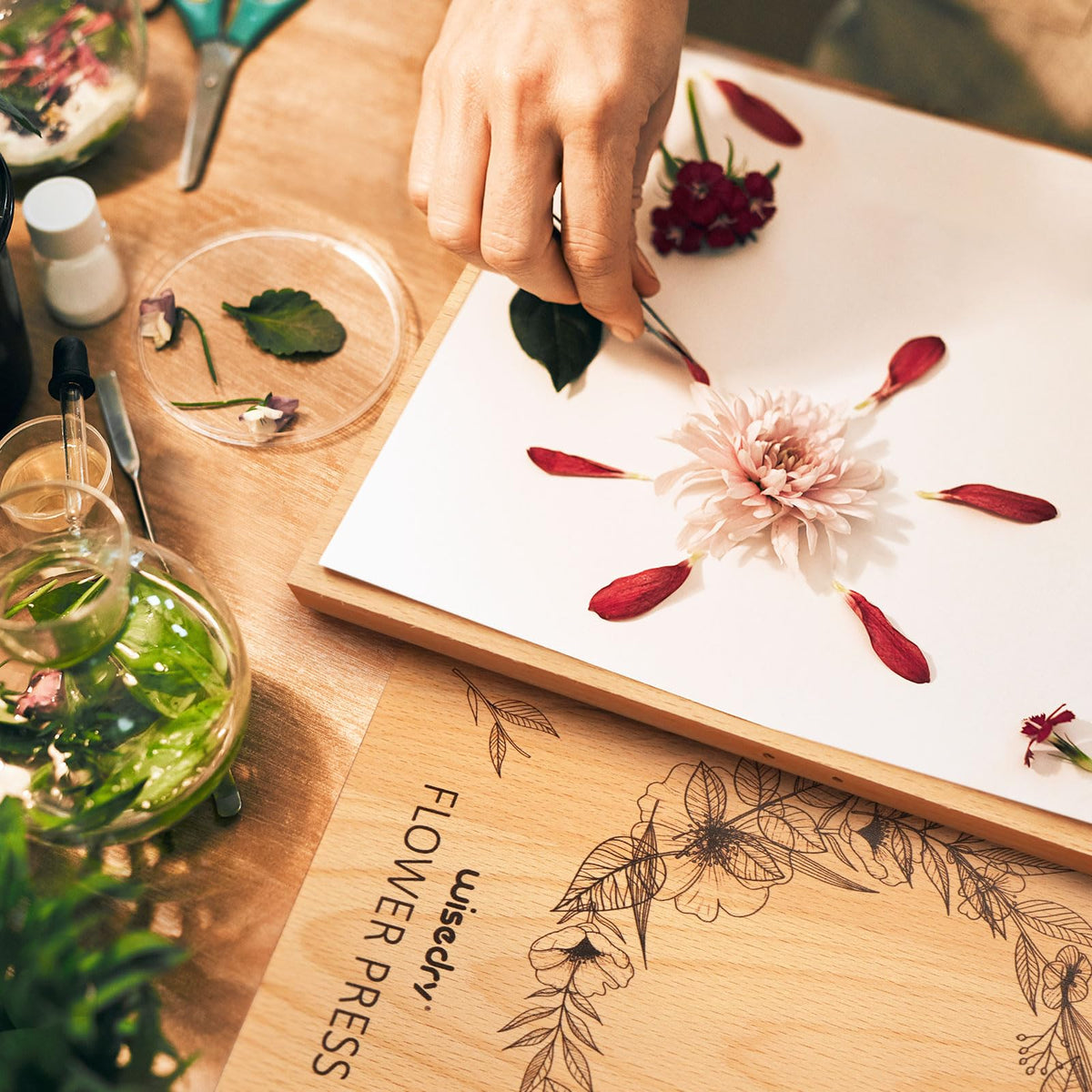 Wisedry gift box packaging ready for gifting flower enthusiasts