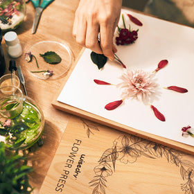 Wisedry gift box packaging ready for gifting flower enthusiasts