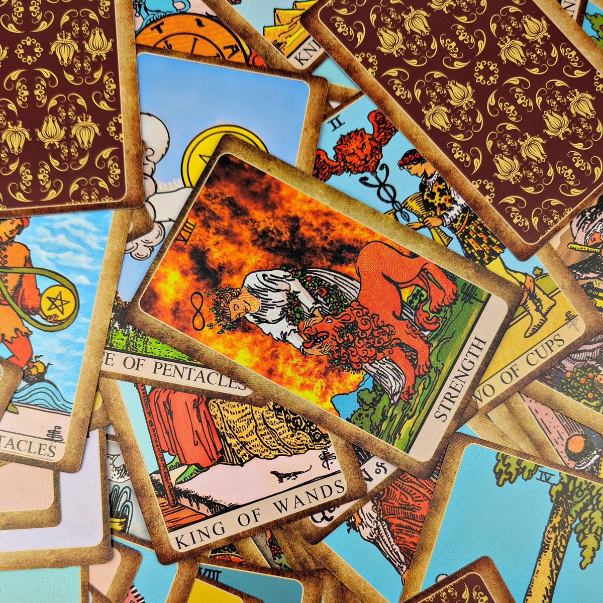 Witchy Cauldron packaging highlights premium quality for collectors and new readers
