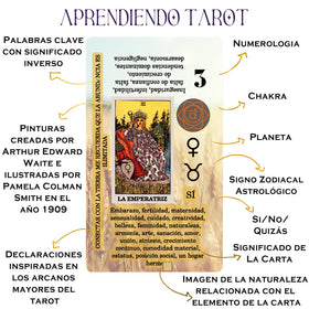 Witchy Cauldron tarot card keywords provide quick reference during practice