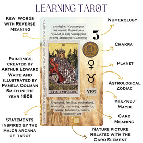 Witchy Cauldron Tarot Guidebook inside supports beginner learning