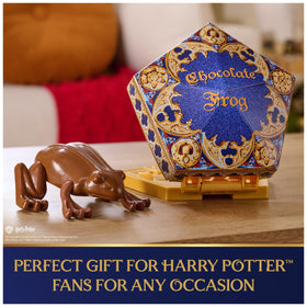 Wizarding World Chocolate Frog boxed packaging enhances shelf display.
