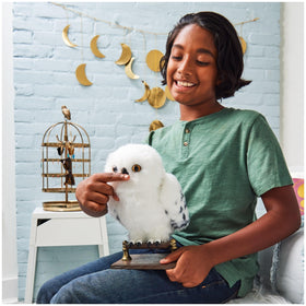 Wizarding World Enchanting Hedwig comb for feather maintenance.